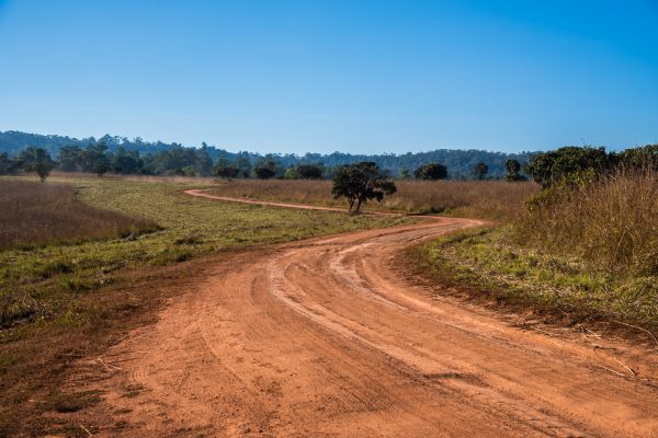 Dirt Driveway Repair in Salem