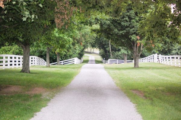 Gravel Driveway Construction in Salem