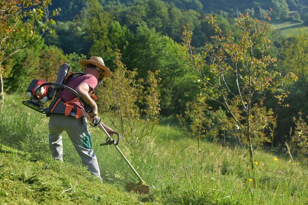 Cost of Slope Trimming in Salem
